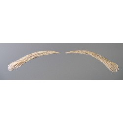 Eyebrows for Women - Blond