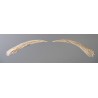 Eyebrows for Women - Blond