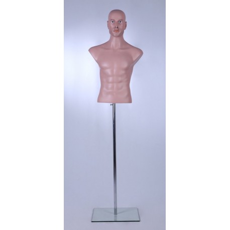 Europe Mannequin : Male Bust TOR 13