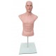 Europe Mannequin : Male Bust TOR 13