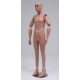 Homme Debout Articulé Petite Taille MDP14 PT ART