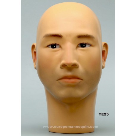 Asian Male Mannequin Head TE25 - cm