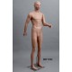 Standing Male MDP TE04 Removable head