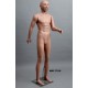 Homme debout MDP TE18 Tête amovible