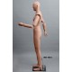 Articulated Standing Male MH TE15 Removable head