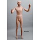 Articulated Standing Male MH TE18 Removable head