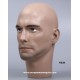 Male Mannequin Head TE35