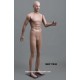 Standing Male MDP TE30 Removable head