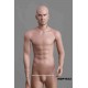 Standing Male MDP TE32 Removable head