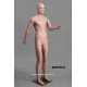 Homme debout MDP TE32 Tête amovible