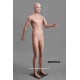 Standing Male MDP TE32 Removable head
