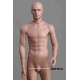 Homme debout MDP TE34 Tête amovible