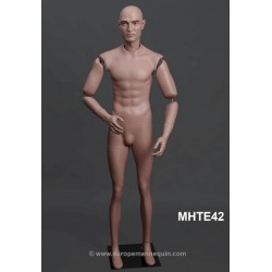 Articulated Male MH TE42 Removable head