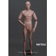 Articulated Male MH TE42 Removable head