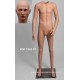 Homme debout Petite Taille MDP TE03 PT Tête amovible