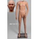 Standing Male Small Size MDP TE07 PT Removable head