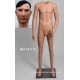 Homme debout Petite Taille MDP TE11 PT Tête amovible
