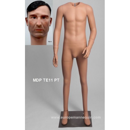 Standing Male Small Size MDP TE11 PT Removable head