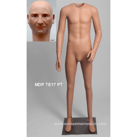 Standing Male Small Size MDP TE17 PT Removable head