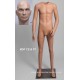 Homme debout Petite Taille MDP TE35 PT Tête amovible