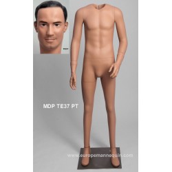 Homme debout Petite Taille MDP TE37 PT Tête amovible