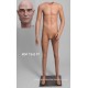 Standing Male Small Size MDP TE42 PT Removable head