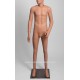 Standing Male Small Size MDP TE46 PT Removable head