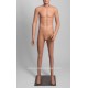 Standing Male Small Size MDP TE46 PT Removable head