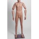 Homme Articulé Petite Taille MDPTE15 PT ART Tête amovible