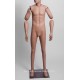 Homme Articulé Petite Taille MDPTE17 PT ART Tête amovible