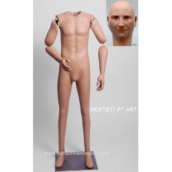 Homme Articulé Petite Taille MDPTE17 PT ART Tête amovible