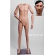 Homme Articulé Petite Taille MDPTE11 PT ART Tête amovible