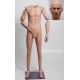 Small Size Articulated Male MDPTE03 PT ART Removable head