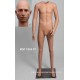 Standing Male Small Size MDP TE08 PT Removable head