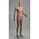 Europe Mannequin Standing Male MDP 13