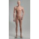 Europe Mannequin Standing Male MDP 14