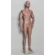 Europe Mannequin Militaria Collection Museum Uniform Collector Articulated Male MH02