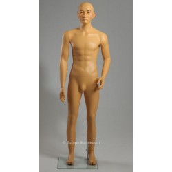 Europe Mannequin Homme Asiatique MDJ01