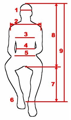 Europe Mannequin Dimensions