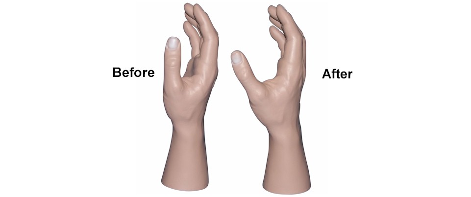 Europe Mannequin Hands